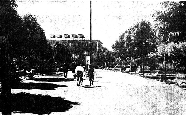 Imagen principal - Los niños del barrio de San Juan