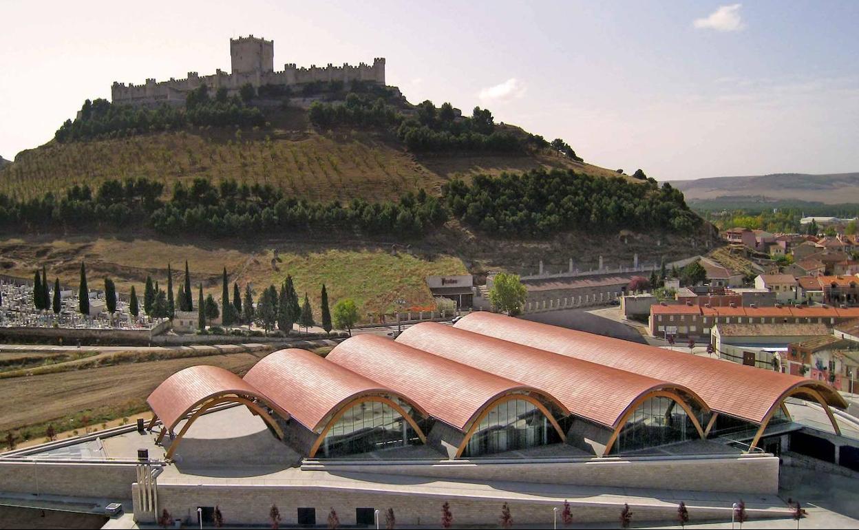 Abierto el periodo de votaciones del VII Brindis solidario de Bodegas Protos