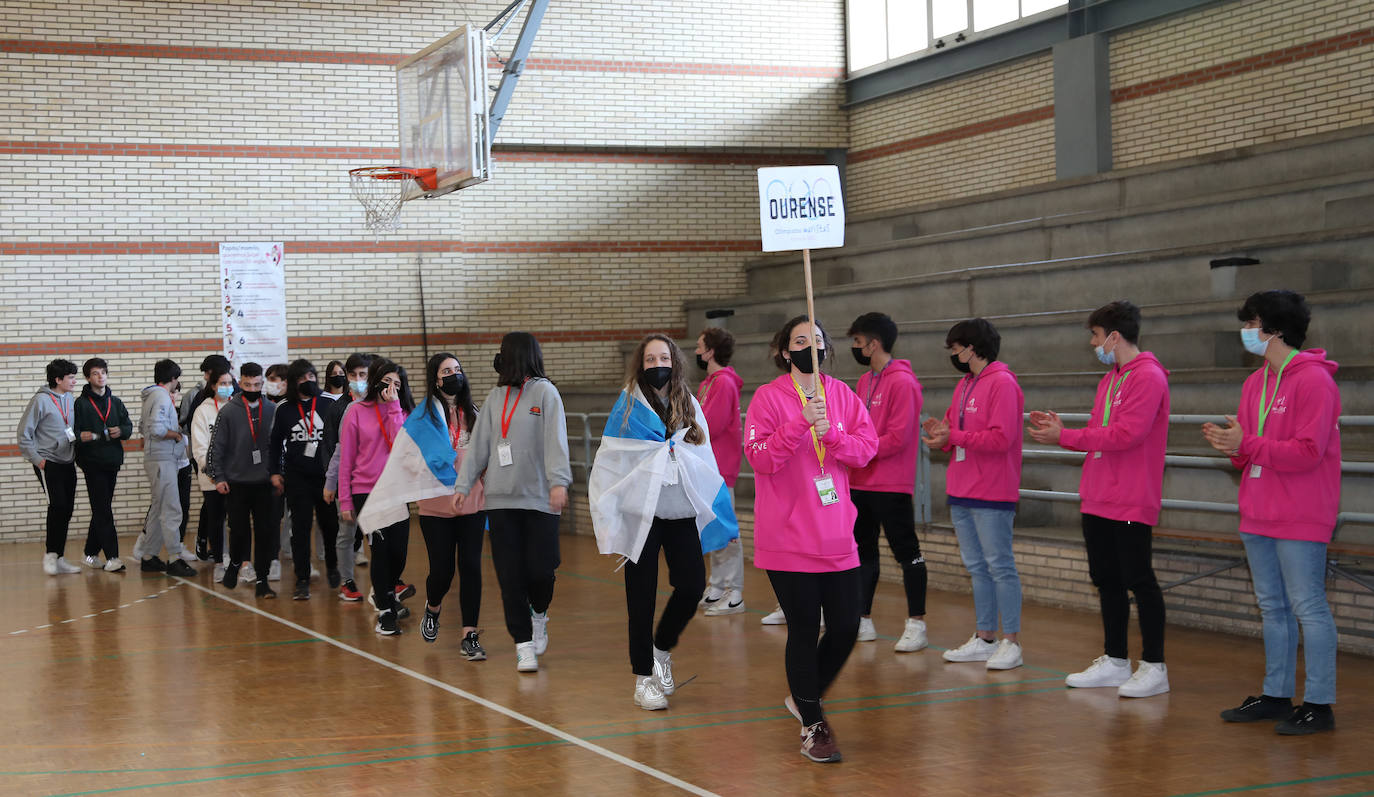 Fotos: El colegio Maristas celebra sus Olimpiadas
