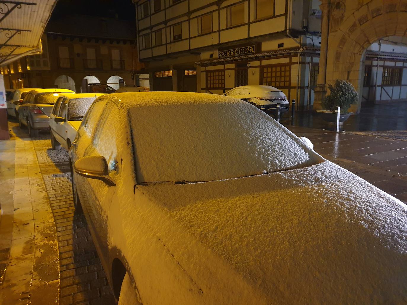 Fotos: La nieve cubre la Montaña Palentina en abril