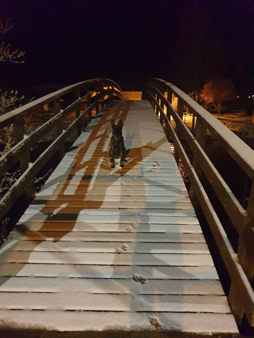 Fotos: La nieve cubre la Montaña Palentina en abril