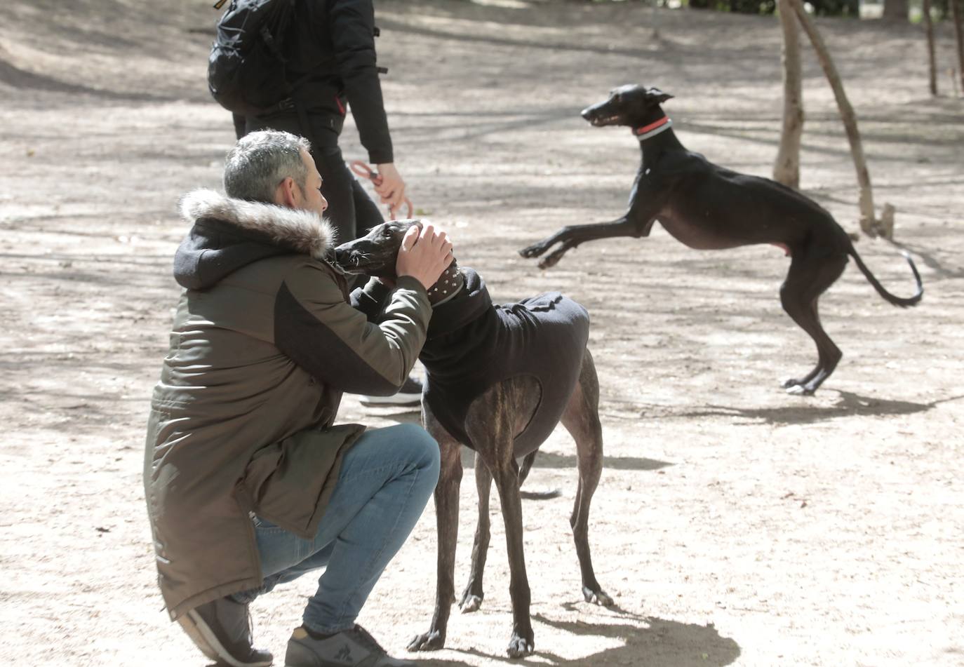 Fotos: Parque canino de las Moreras en Valladolid