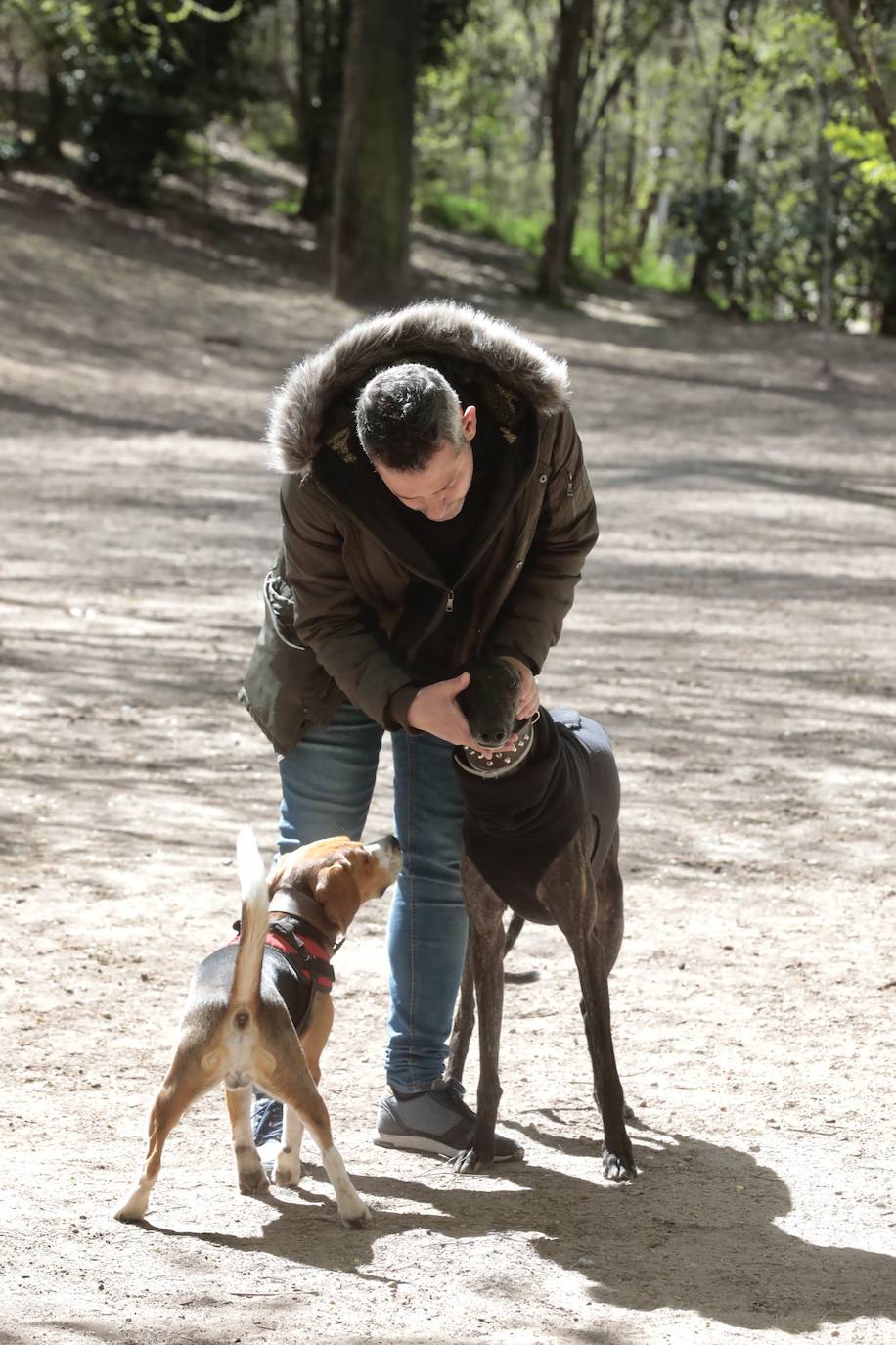 Fotos: Parque canino de las Moreras en Valladolid