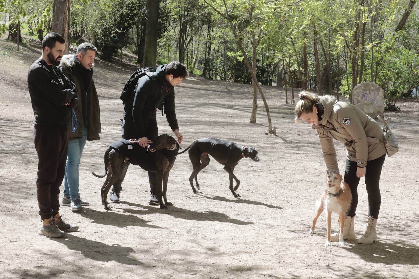 Fotos: Parque canino de las Moreras en Valladolid