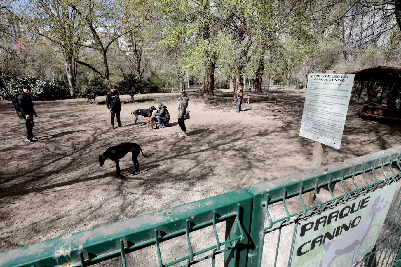 Fotos: Parque canino de las Moreras en Valladolid