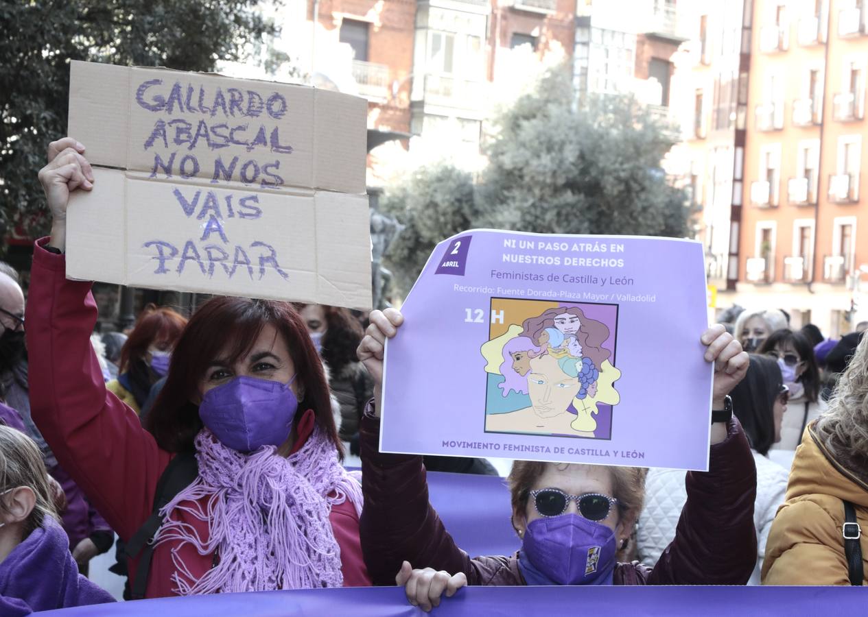 Fotos: Manifestación feminista en Valladolid