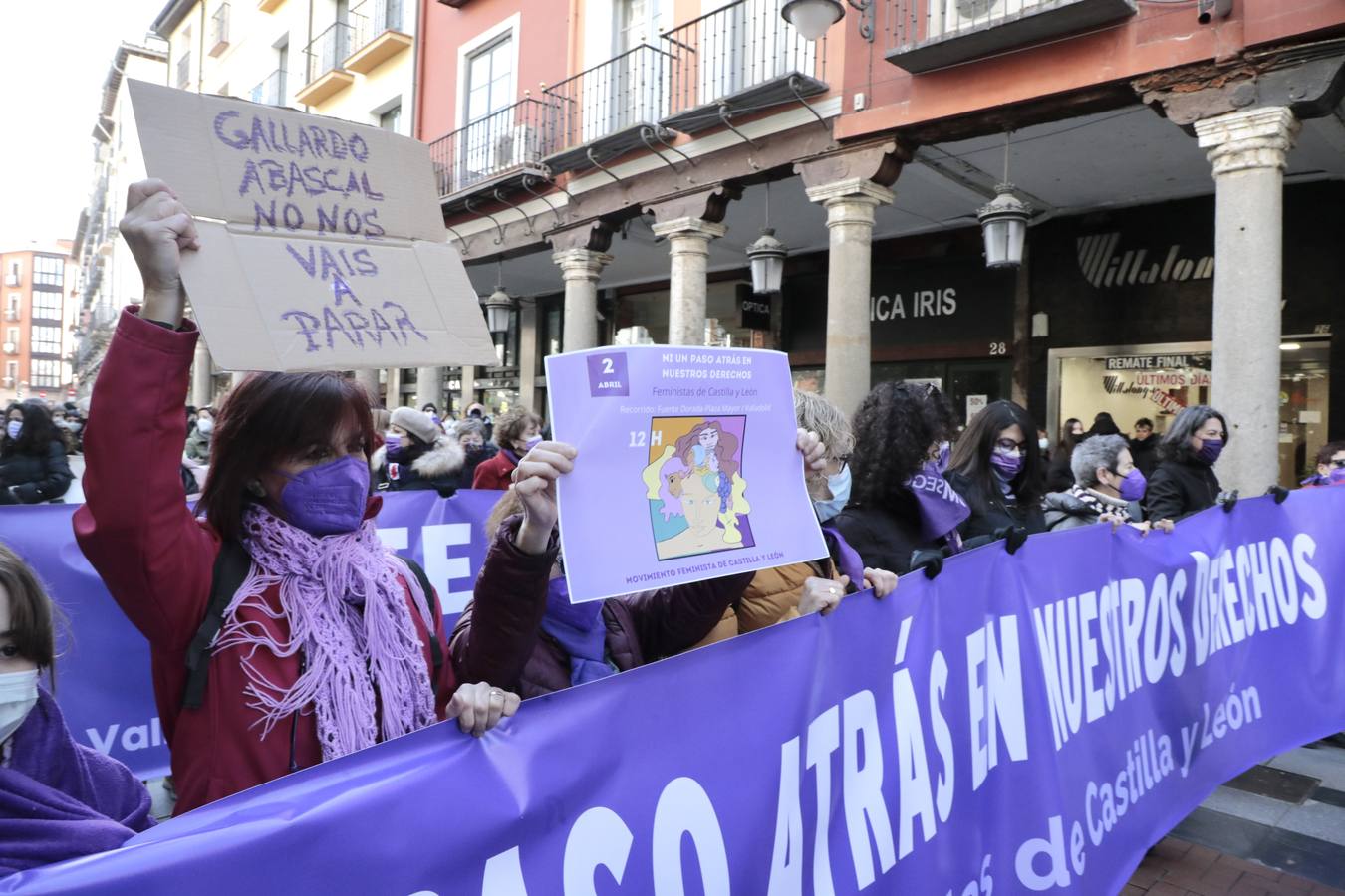 Fotos: Manifestación feminista en Valladolid