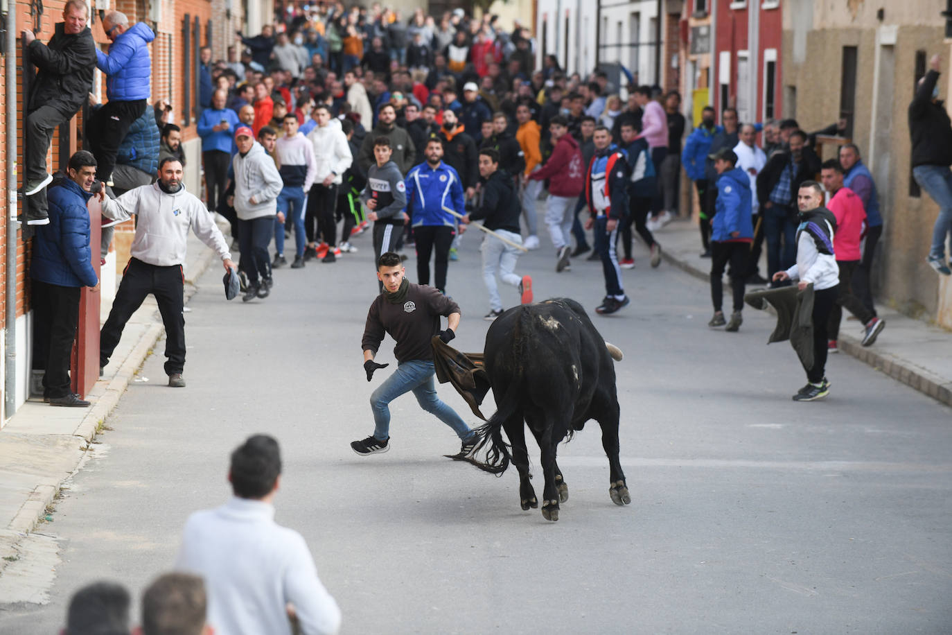 El 'Toro del Arrope' regresa a Siete Iglesias. 