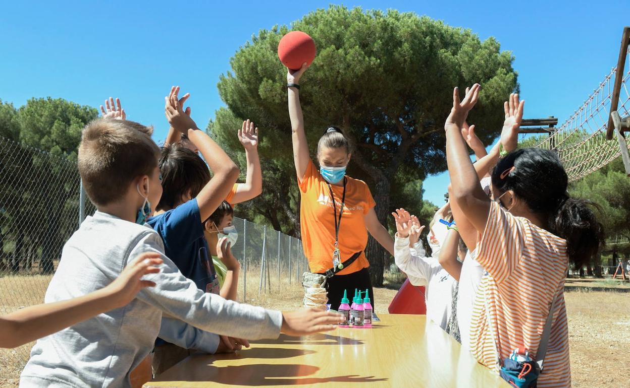 Un grupo de niños disfruta de un campamento estival en el Pinar de Antequera.