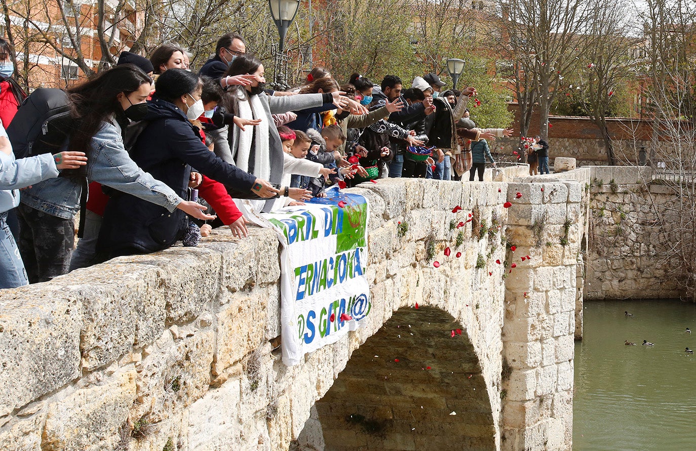 Palencia vuelve a celebrar el Día Internacional del Pueblo Gitano