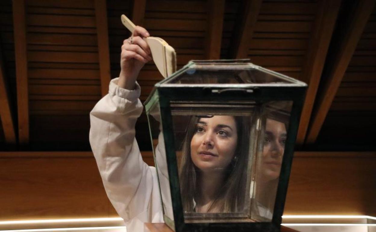 Sara revisa una urna de 1933, cuando las mujeres pudieron votar por primera vez. 