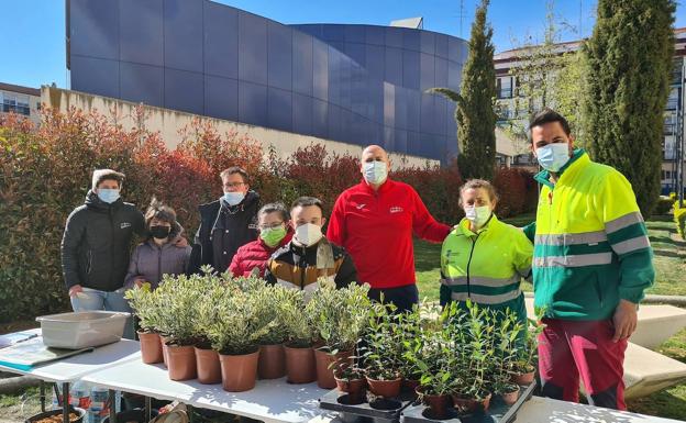 Imagen principal - El proyecto &#039;Alcorques savios&#039; de Salamanca favorece la biodiversidad en los barrios y la participación ciudadana