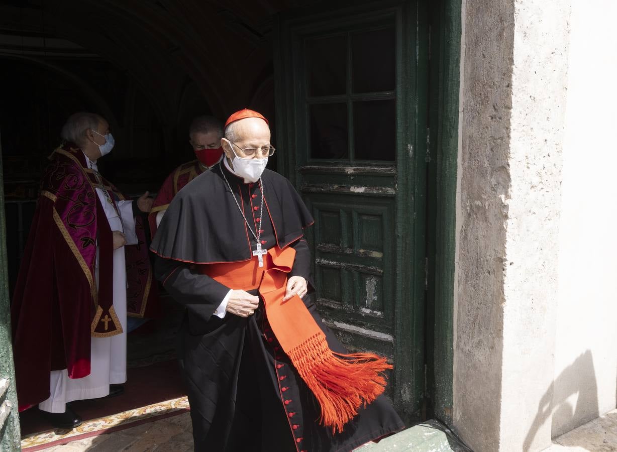 La procesión de La Borriquilla a su paso por las calles de Valladolid. 