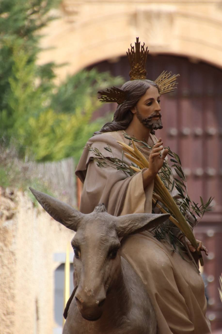 Fotos: Procesión de Las Palmas en Medina de Rioseco (2/3)