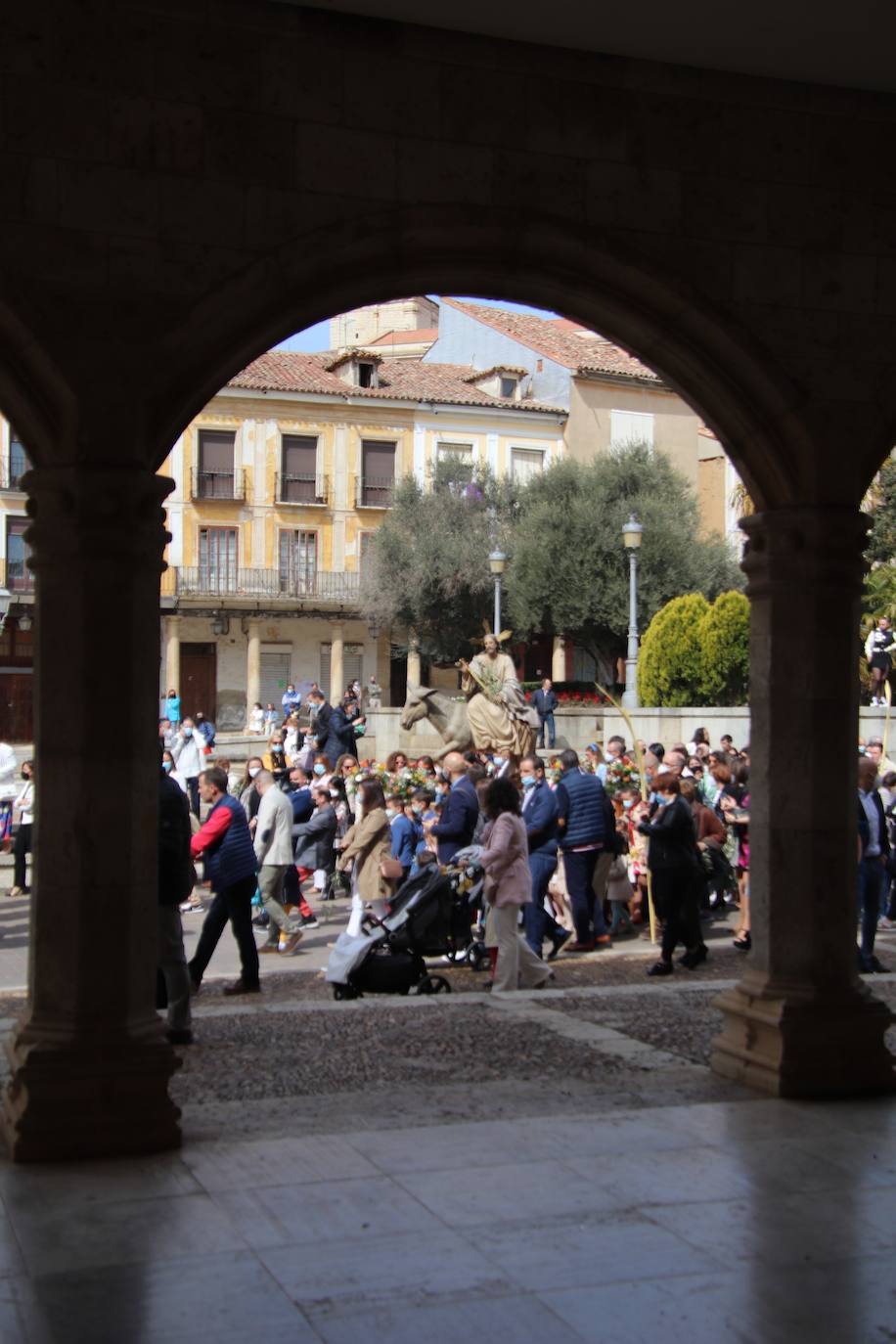 Fotos: Procesión de Las Palmas en Medina de Rioseco (2/3)