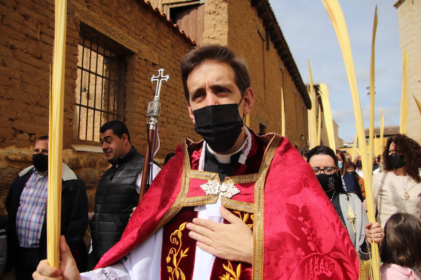 Fotos: Procesión de Las Palmas en Medina de Rioseco (3/3)