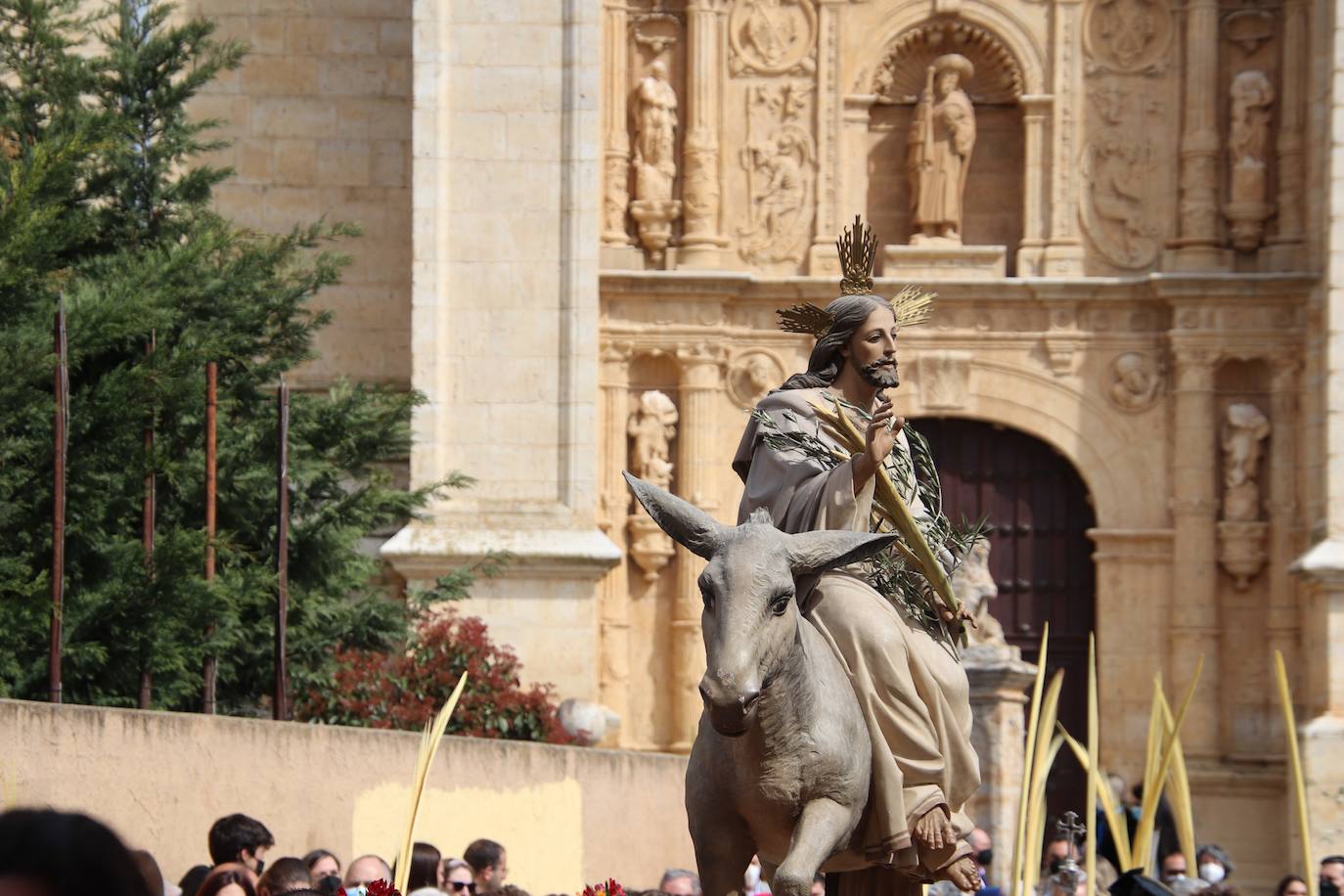 Fotos: Procesión de Las Palmas en Medina de Rioseco (3/3)