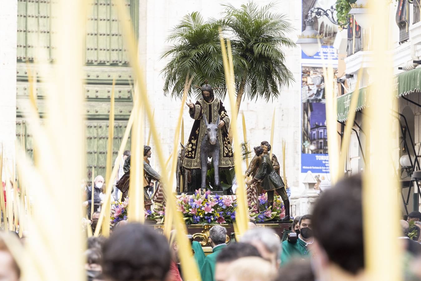 La procesión de La Borriquilla a su paso por las calles de Valladolid. 