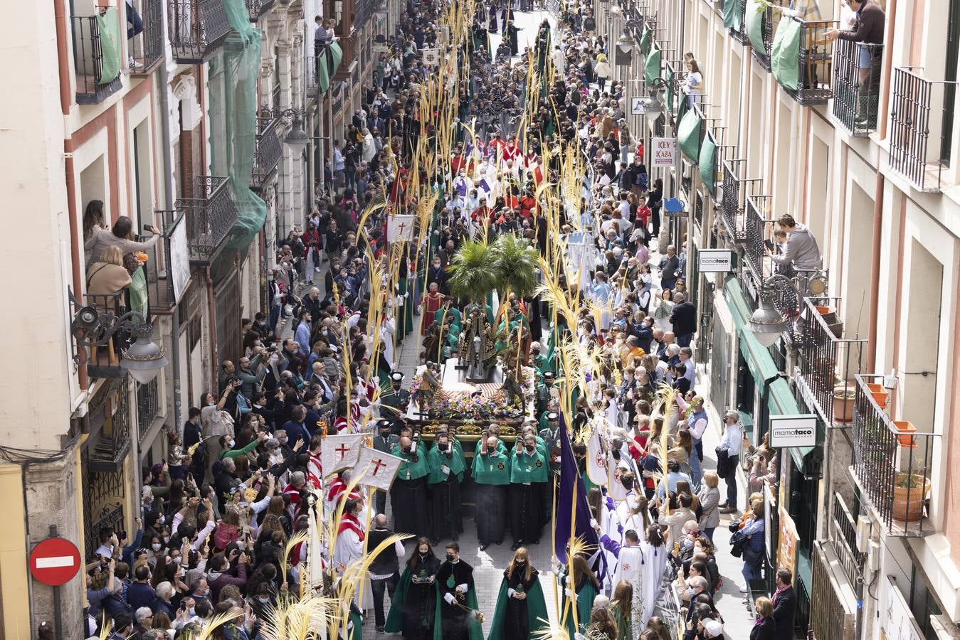 La procesión de La Borriquilla a su paso por las calles de Valladolid. 