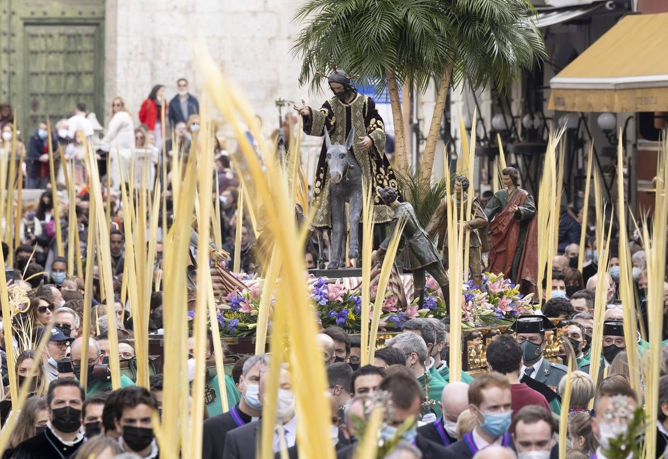 La procesión de La Borriquilla a su paso por las calles de Valladolid. 