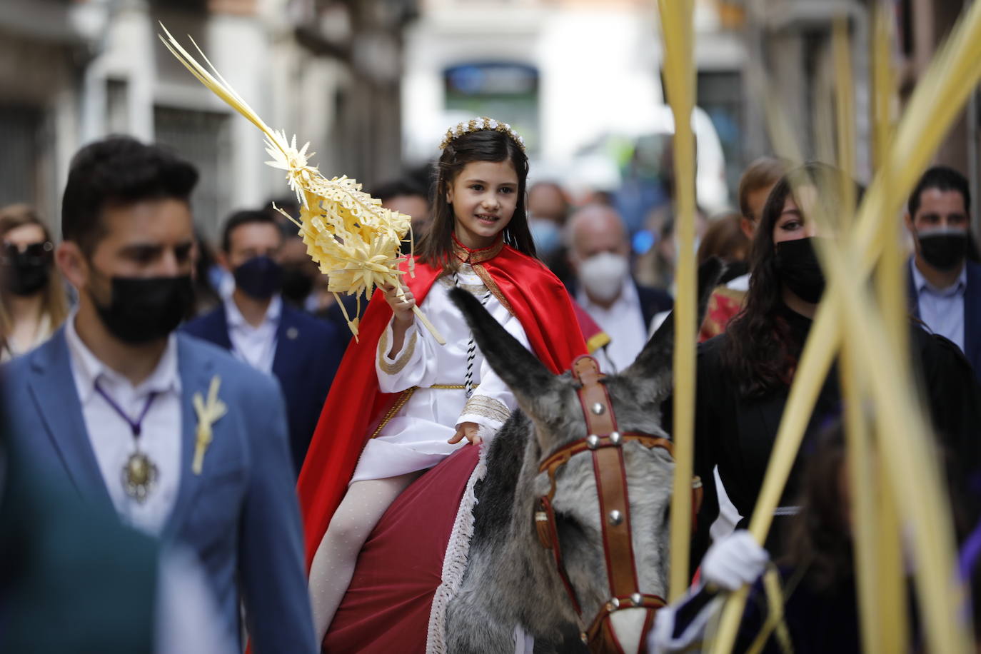 Fotos: Procesión de La Borriquilla en Peñafiel (1/2)