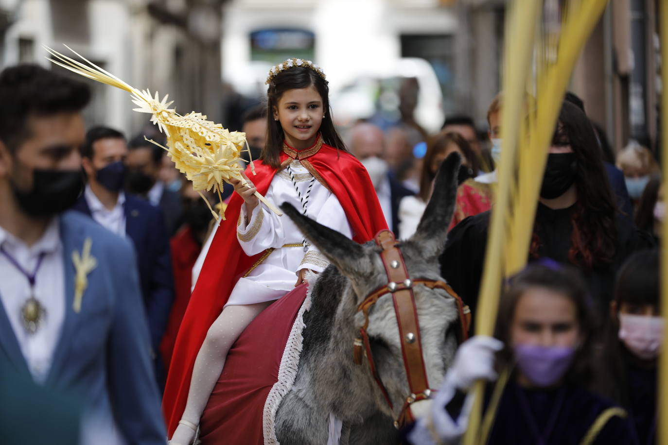 Fotos: Procesión de La Borriquilla en Peñafiel (1/2)