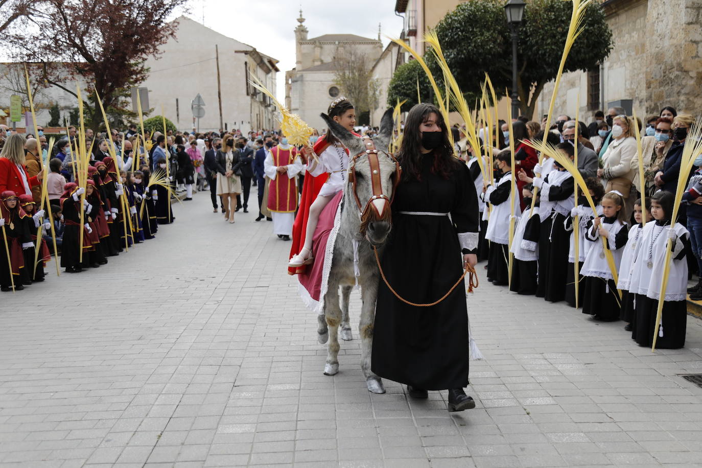 Fotos: Procesión de La Borriquilla en Peñafiel (1/2)