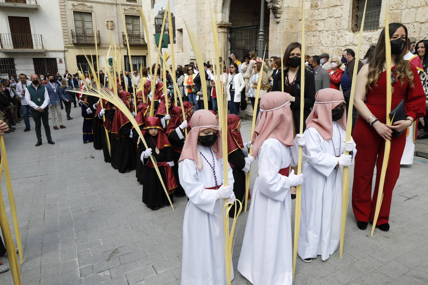 Fotos: Procesión de La Borriquilla en Peñafiel (2/2)