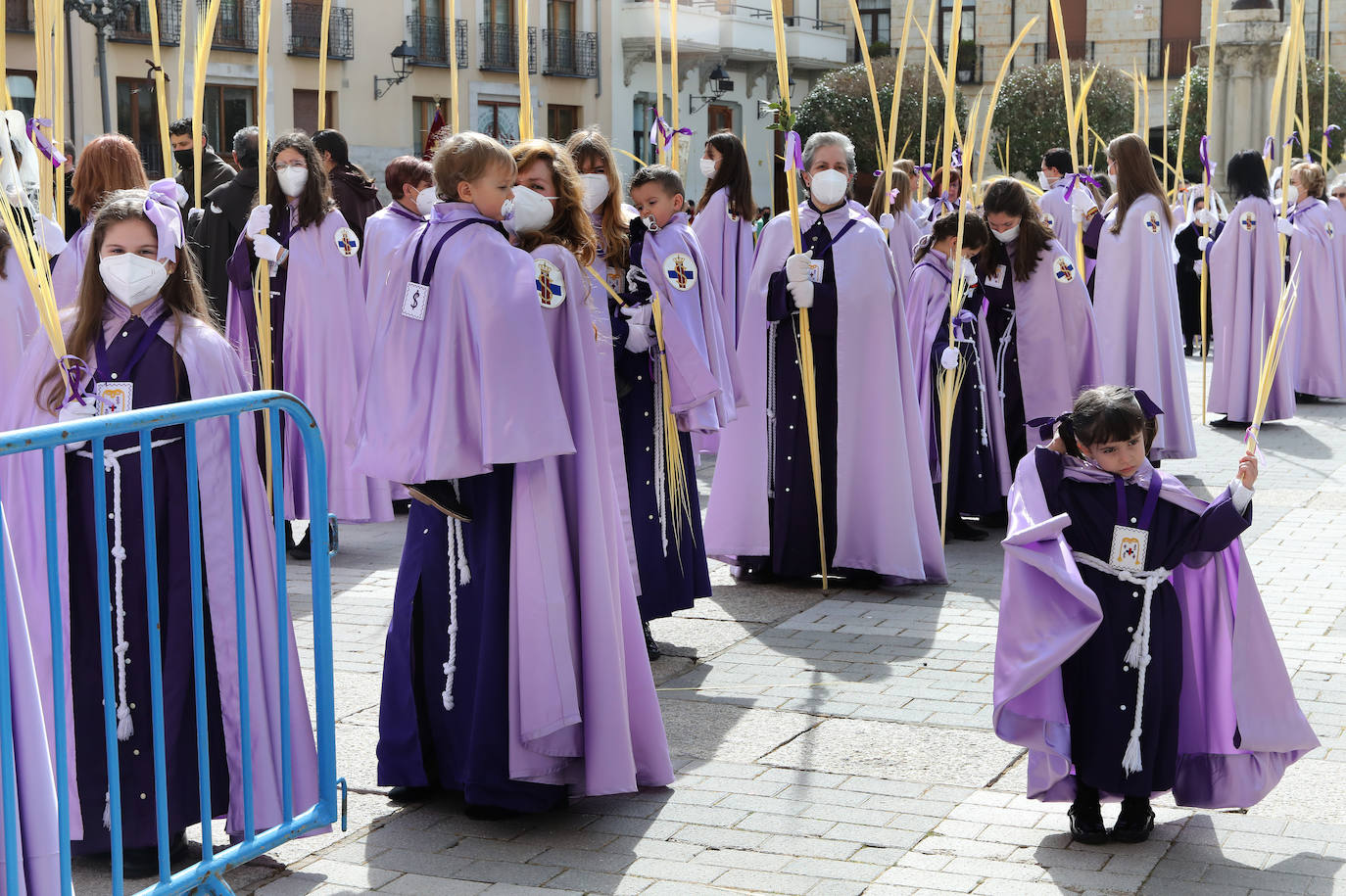 Fotos: Procesión de la Borriquilla en Palencia