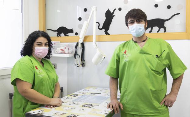 Los ayudantes técnicos veterinarios de la clínica Huellas Vet Pet, Carolina Ferreras y Pablo Regidor. 