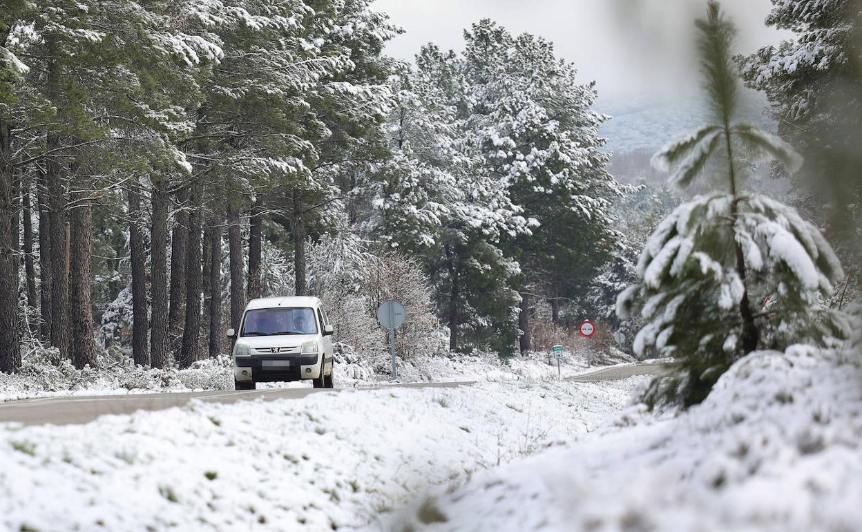 La nieve de hace unos dias deja paso a la lluvia este viernes. 