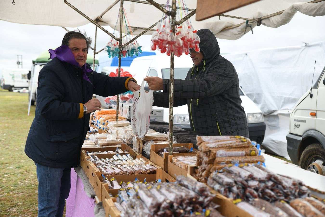 Fotos: Día de Castilla y León en Villalar de los Comuneros (1)