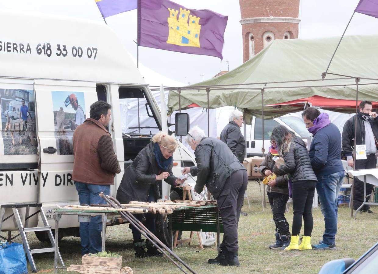 Fotos: Día de Castilla y León en Villalar de los Comuneros (3)