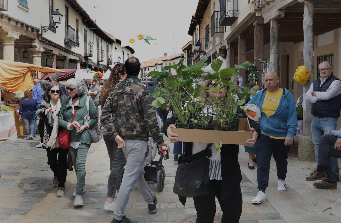 Fotos: Mercado de la Flor de Ampudia