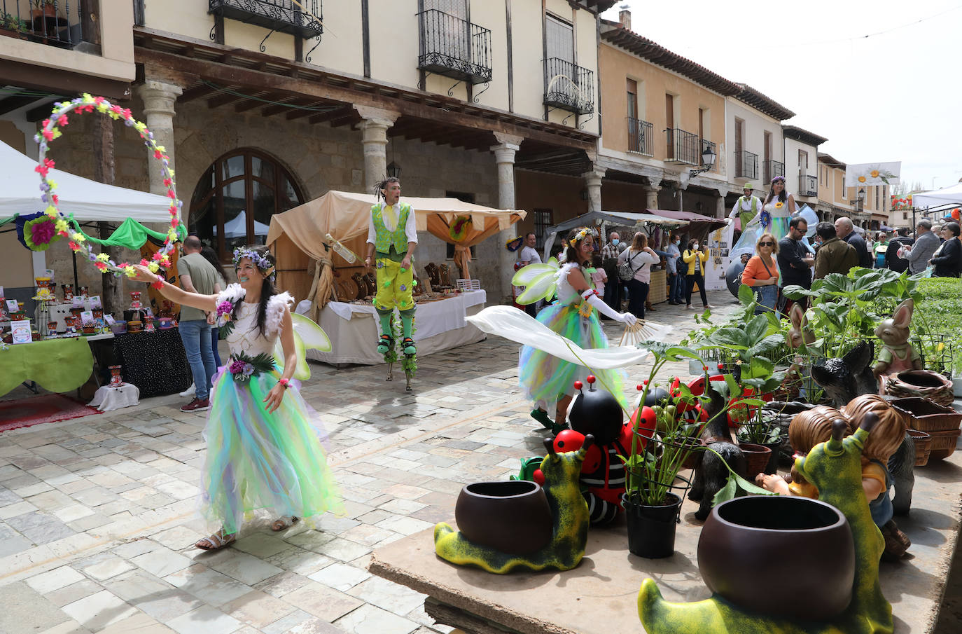 Fotos: Mercado de la Flor de Ampudia