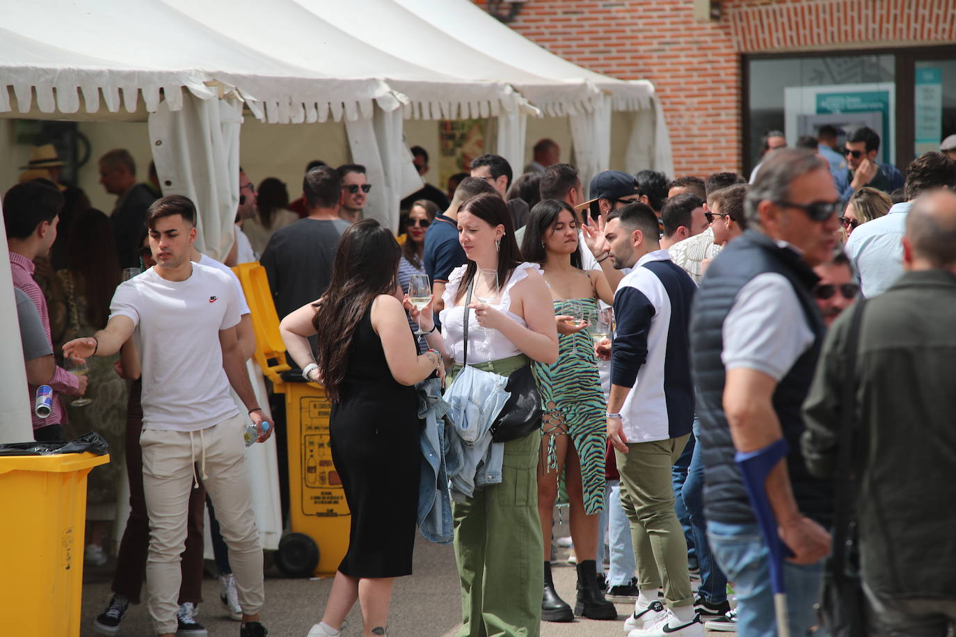 El municipio vallisoletano ha vivido una jornada festiva con toros y vino.