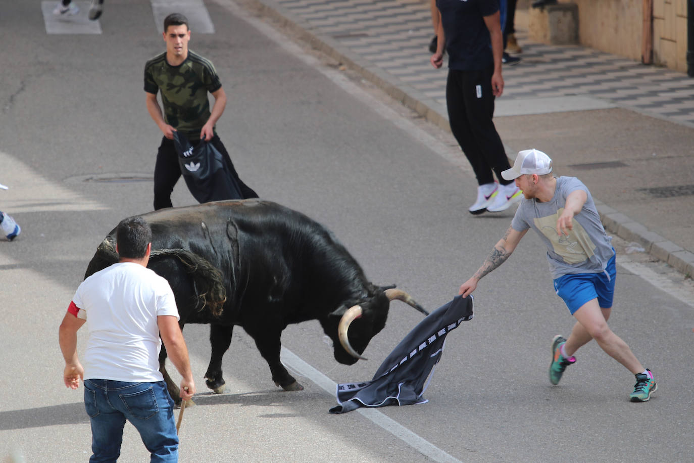 El municipio vallisoletano ha vivido una jornada festiva con toros y vino.