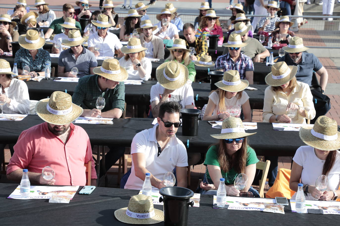 Tercera jornada de Plaza Mayor del Vino. 