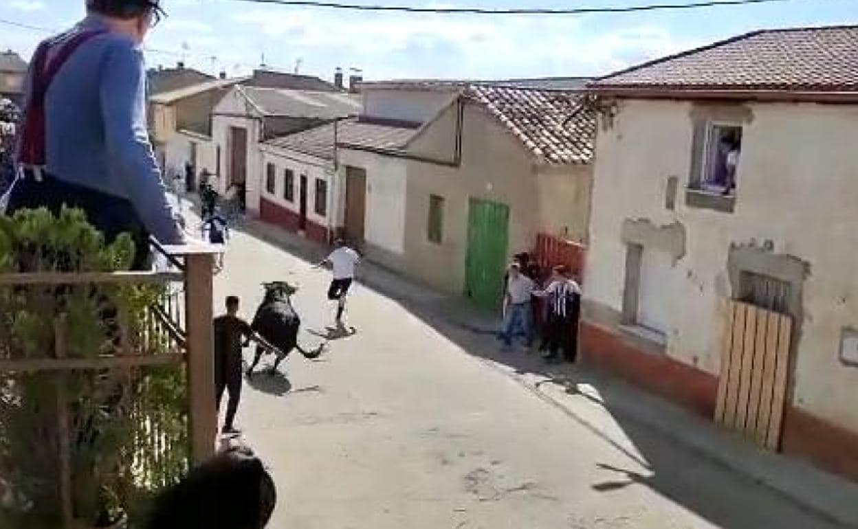 Un joven ucraniano herido grave en el encierro de San Román de Hornija