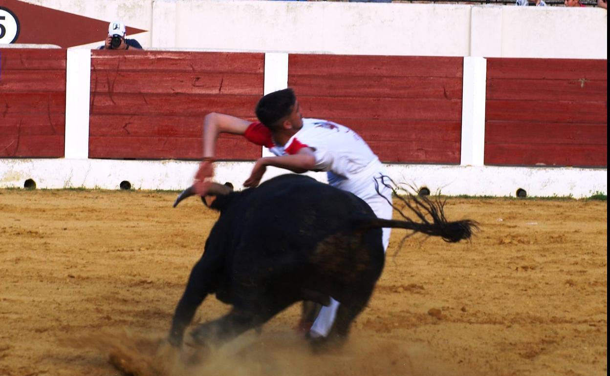 Rubén Poncela, en uno de los cortes que le proclamaron campeón regional en Olmedo.
