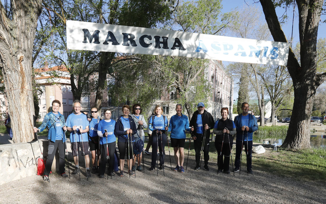 Fotos: La Marcha de Aspanis de Palencia en imágenes