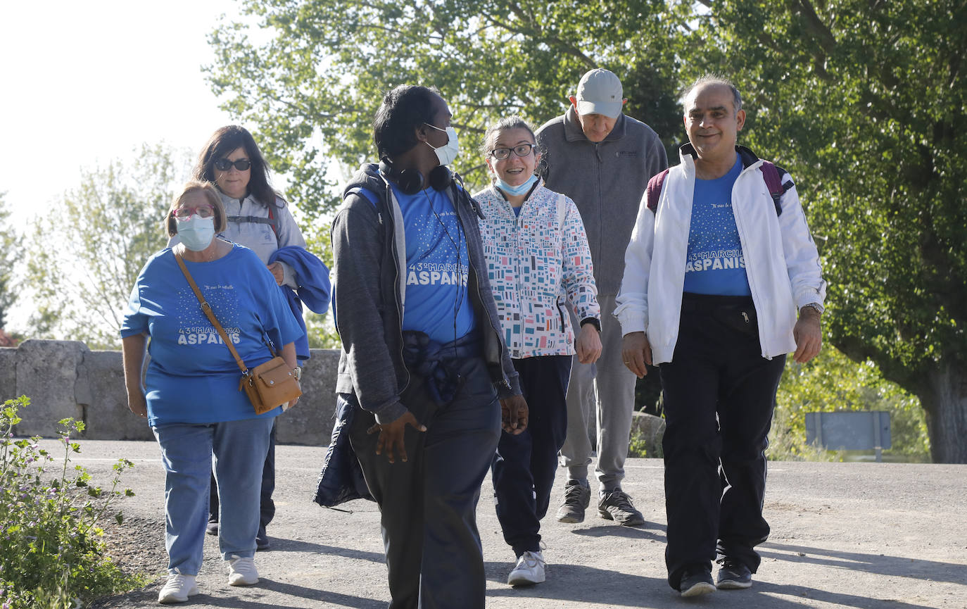 Fotos: La Marcha de Aspanis de Palencia en imágenes