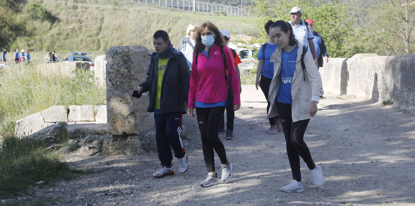 Fotos: La Marcha de Aspanis de Palencia en imágenes