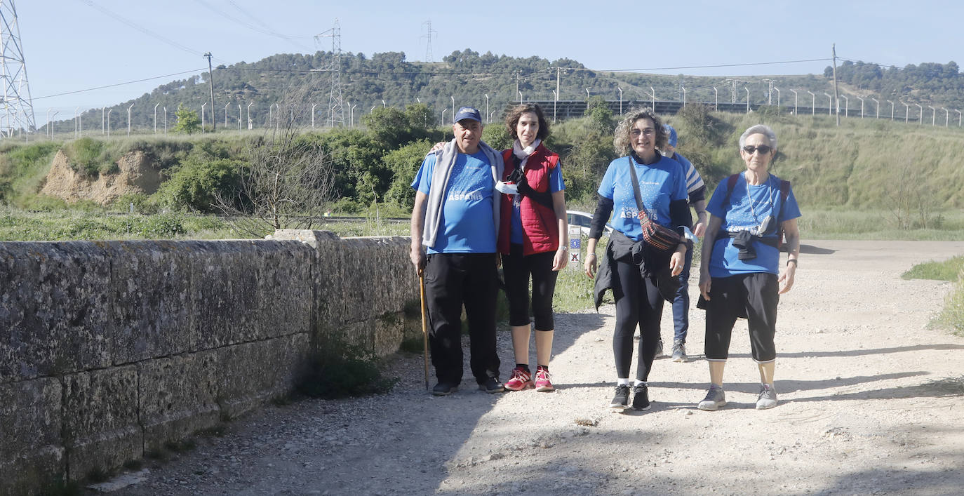 Fotos: La Marcha de Aspanis de Palencia en imágenes