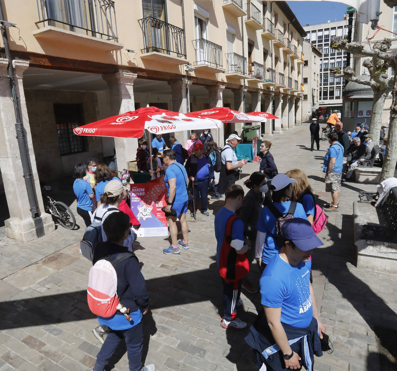 Fotos: La Marcha de Aspanis de Palencia en imágenes