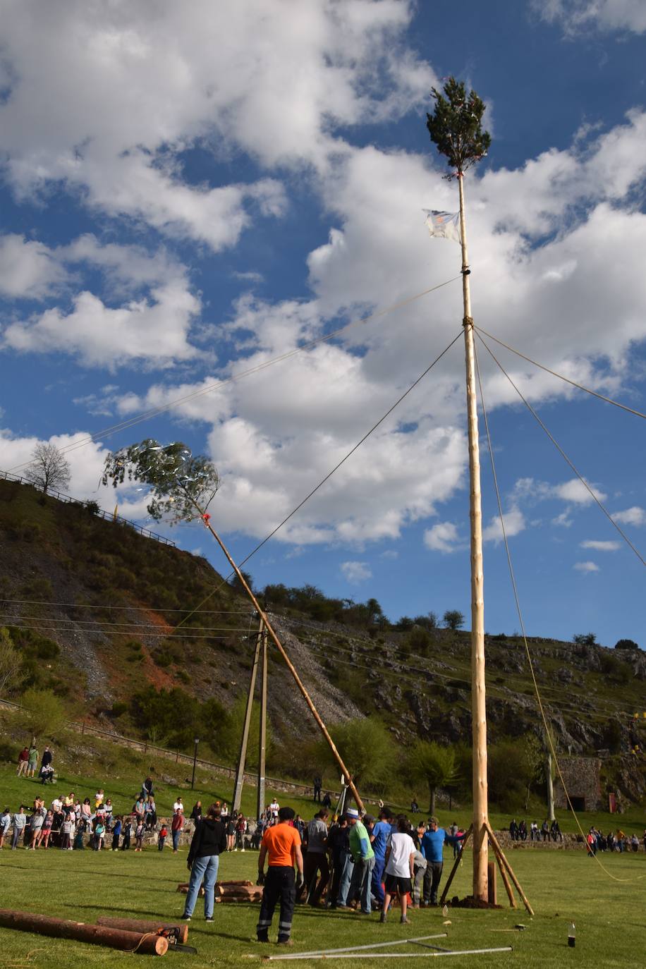 Fotos: Velilla recupera la &#039;Pinada del Mayo&#039;