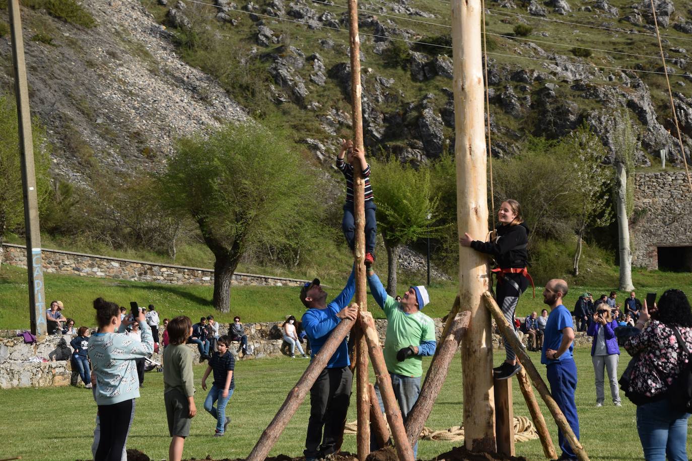 Fotos: Velilla recupera la &#039;Pinada del Mayo&#039;
