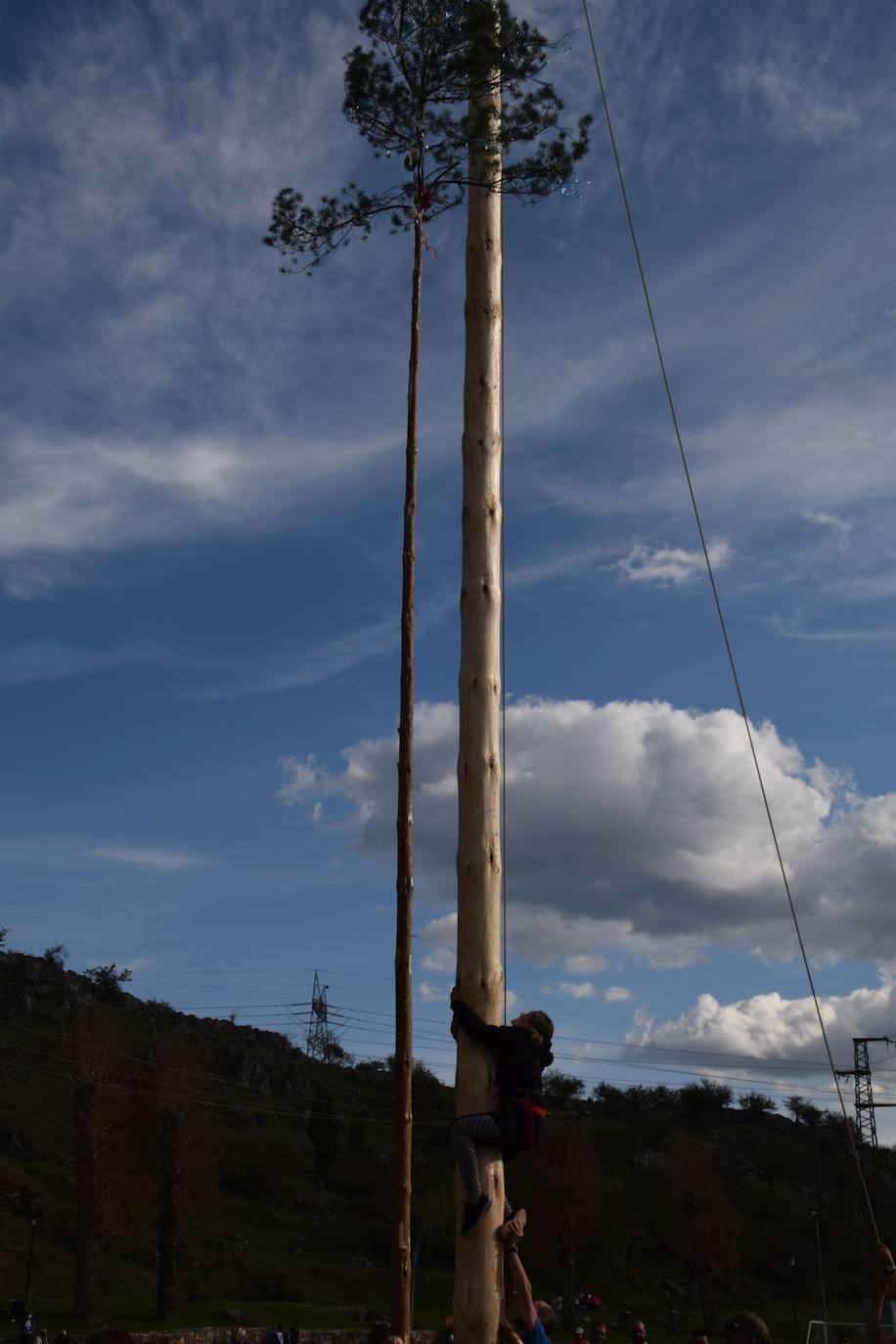 Fotos: Velilla recupera la &#039;Pinada del Mayo&#039;