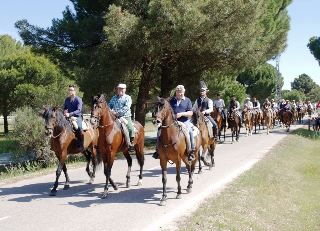 Fotos: XVI romería flamenca El Lerele en Pedrajas de San Esteban
