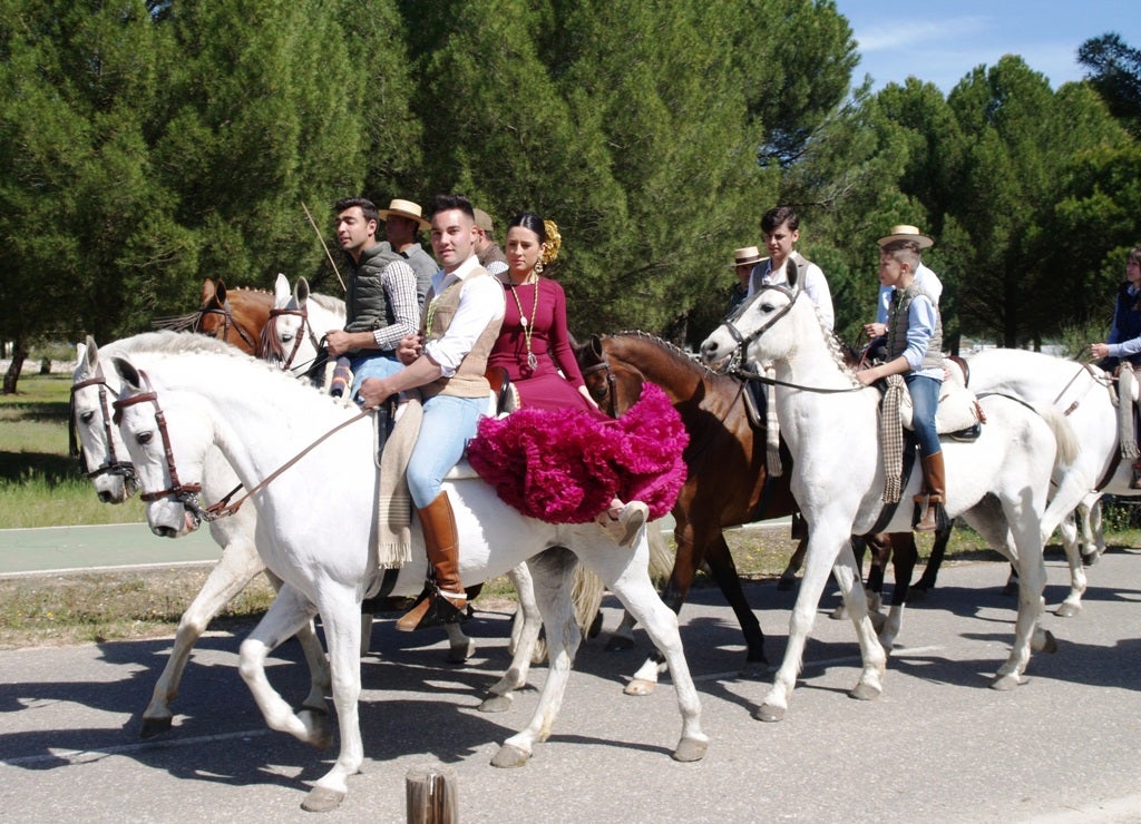 Fotos: XVI romería flamenca El Lerele en Pedrajas de San Esteban